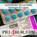 Commander De La Gelée Kamagra En Ligne new07